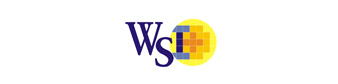 Logo WiseChip