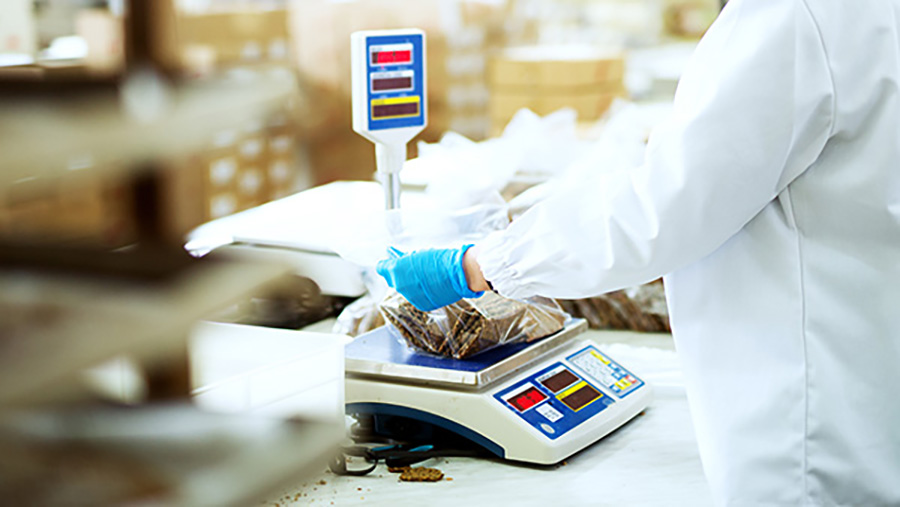 Professionelle Waagesysteme