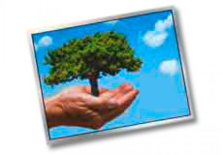 TFT Displays G084SN05 V9